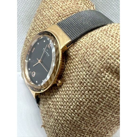 Skagen SKW2120 Women's Gray Stainless Steel Mesh Analog Dial Quartz Watch JNA907 - Picture 2 of 11